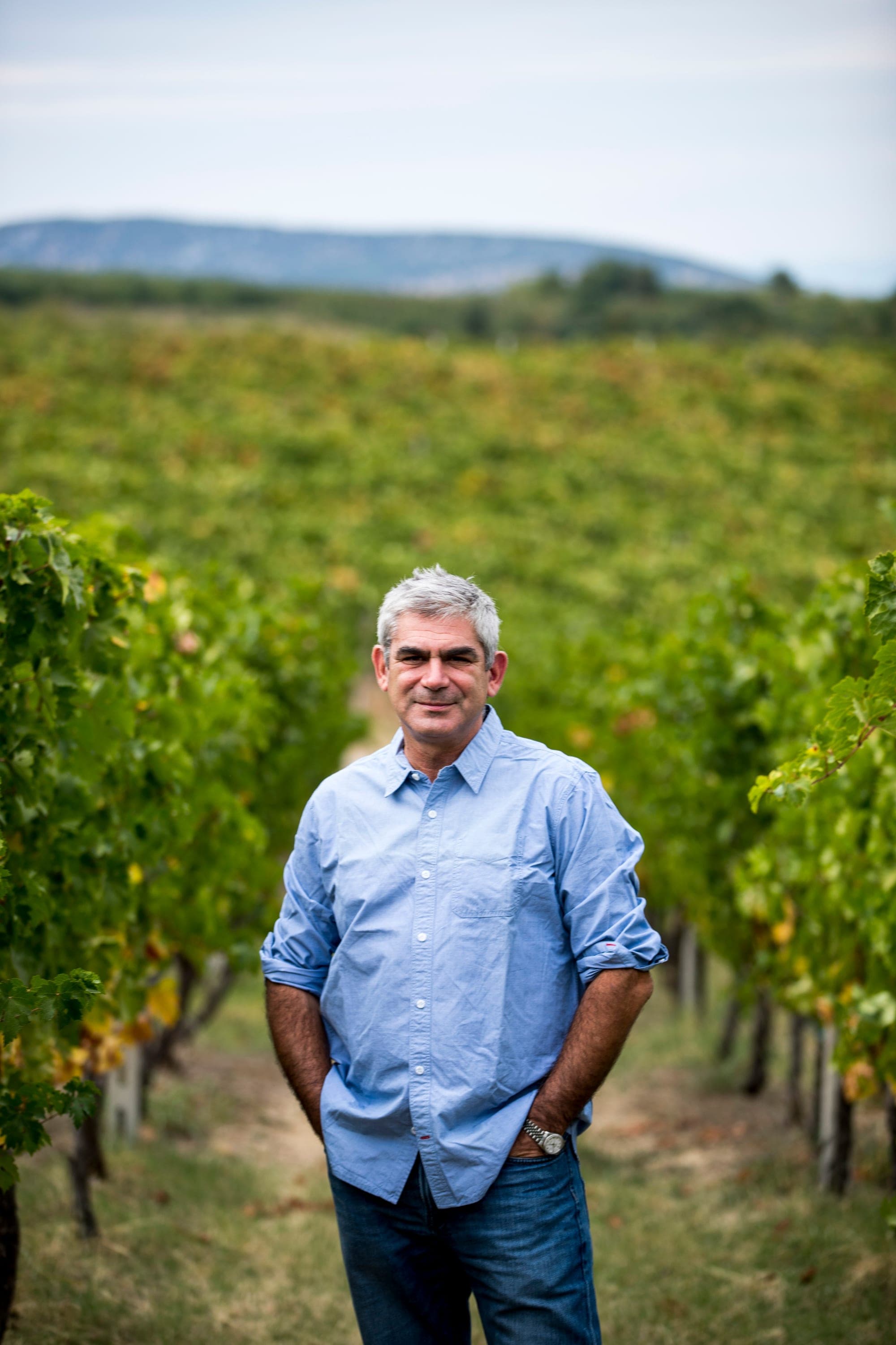 Stellios Boutaris, Winemaker & CEO of Kir-Yianni, CEO of Domaine Sigalas