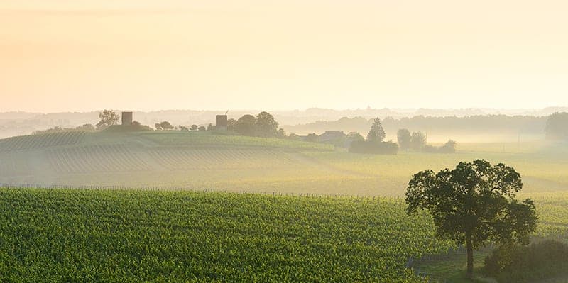 Château Roquefort — Morning Haze