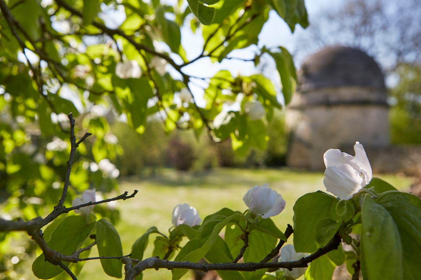 Château Roquefort — Nature