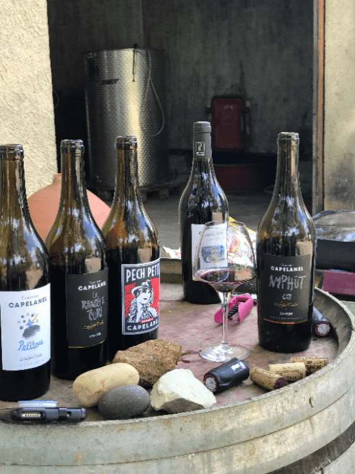 Wine tasting at Domaine Capelanel's winery