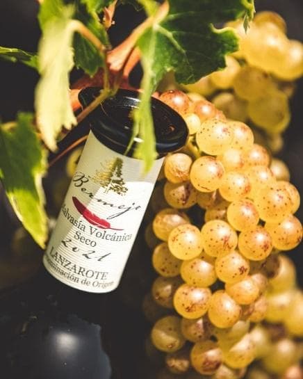 Bodega Los Bermejos: Malvasia Volcánica Seco Lanzarote DO