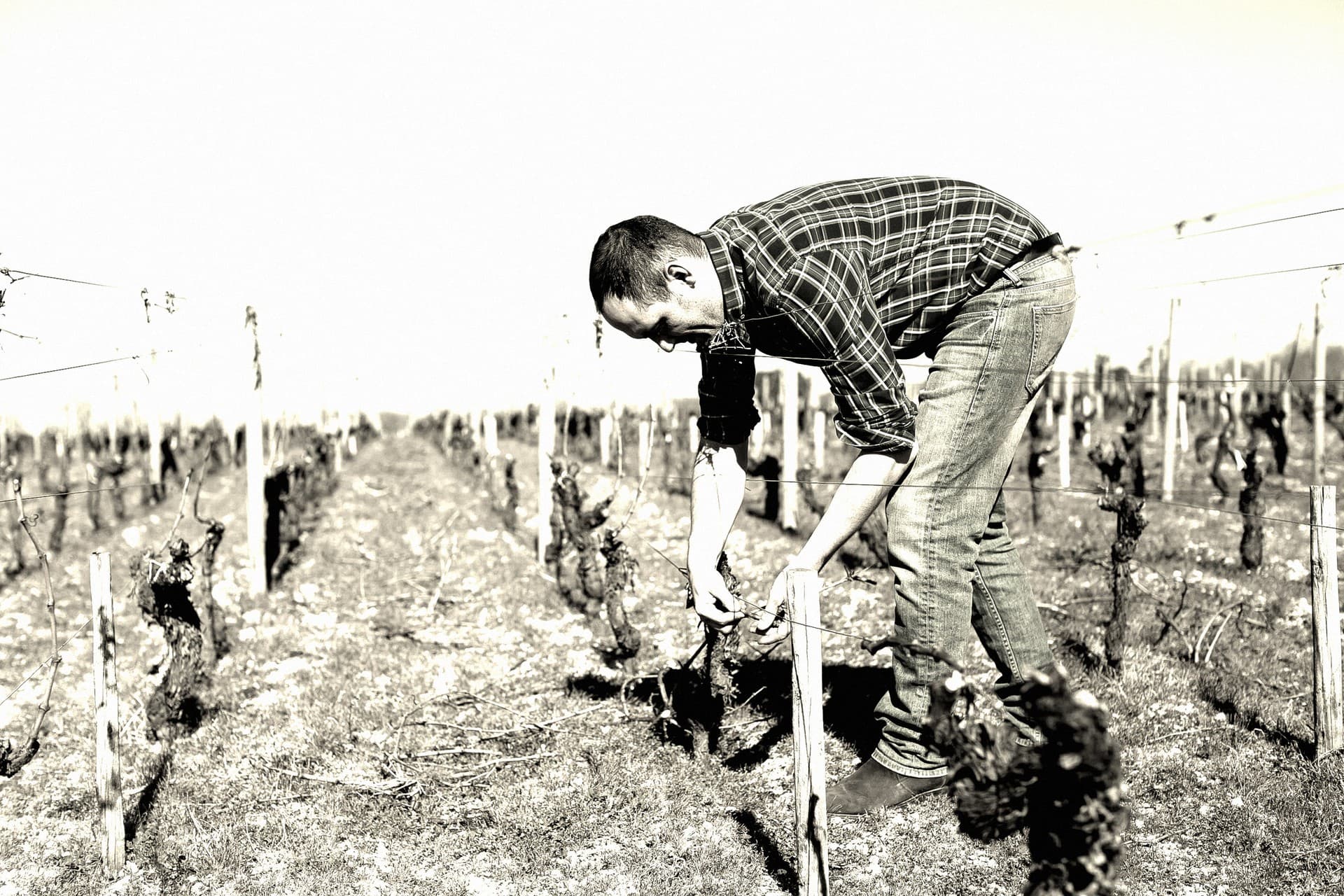 Maison Idiart gallery image 4