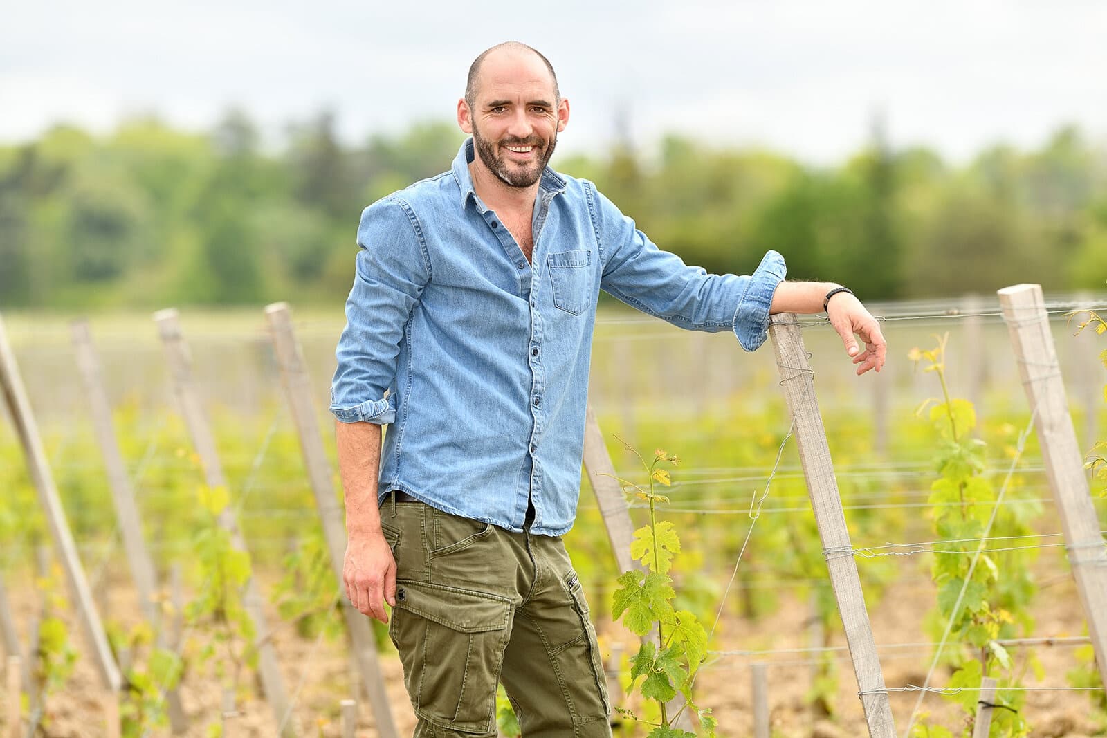 Maison Idiart header