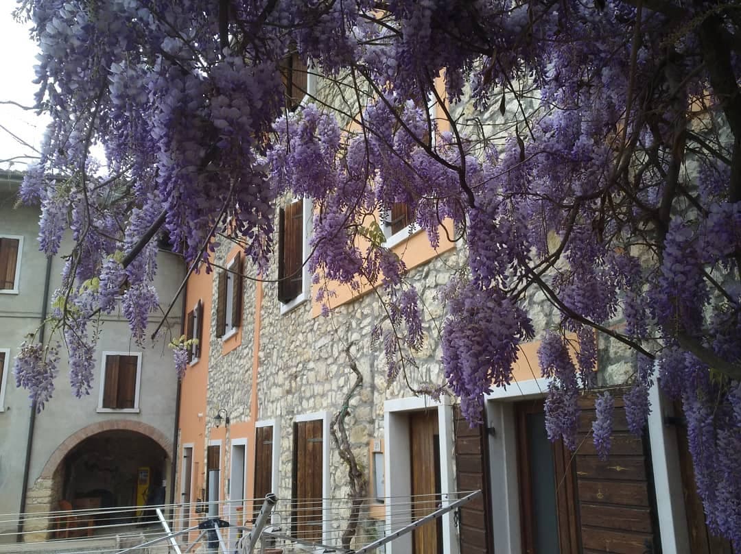 Antolini gallery image 5