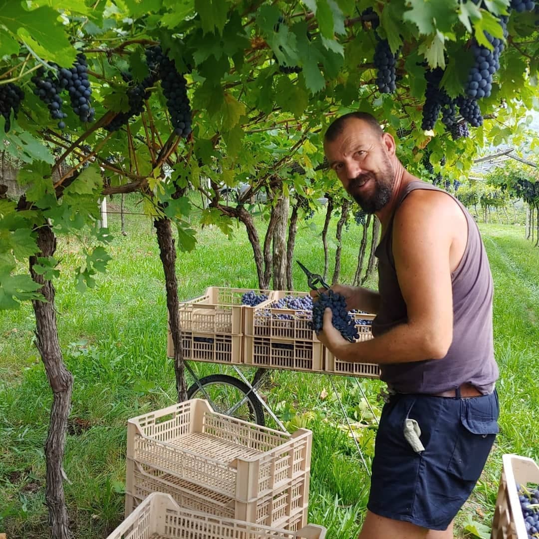 Antolini gallery image 8