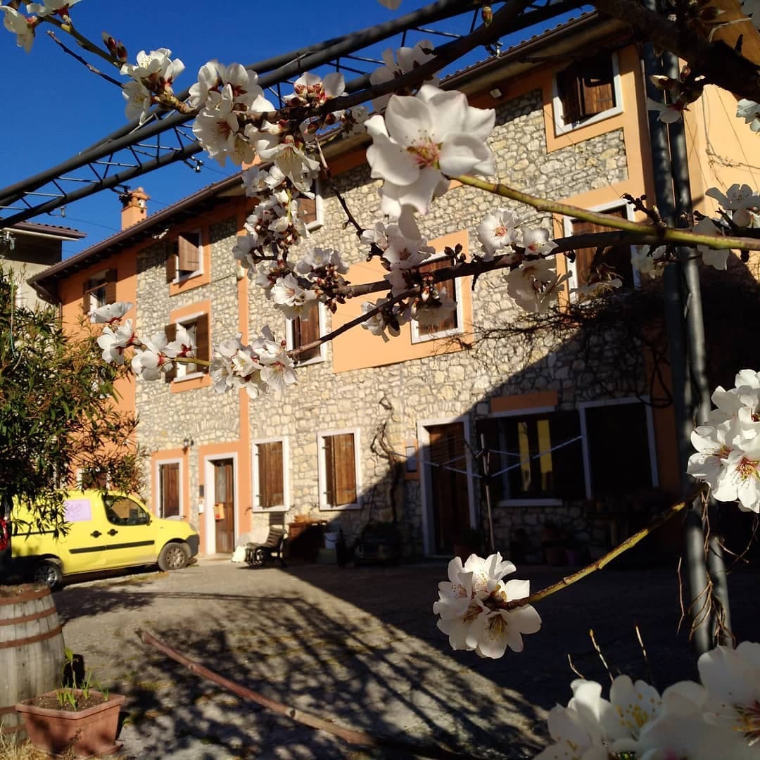 Antolini gallery image 7