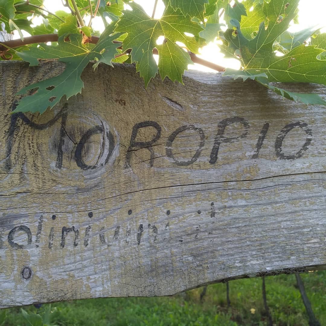 Antolini gallery image 6