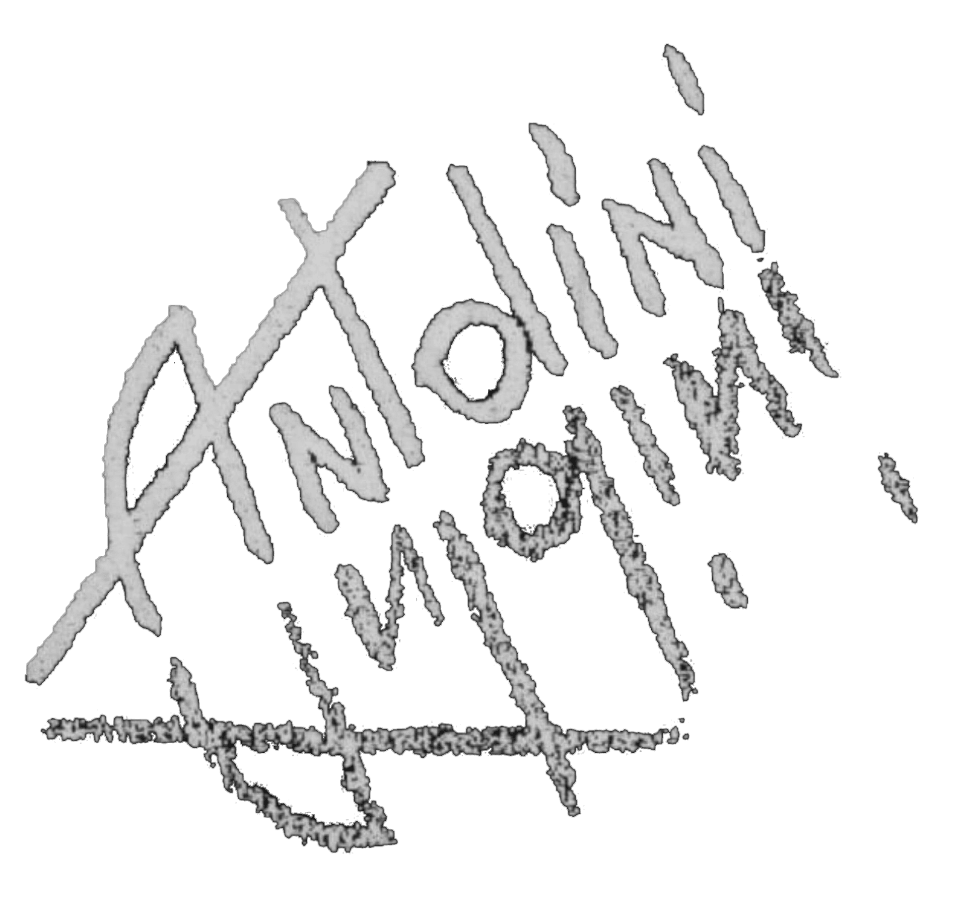 Antolini logo