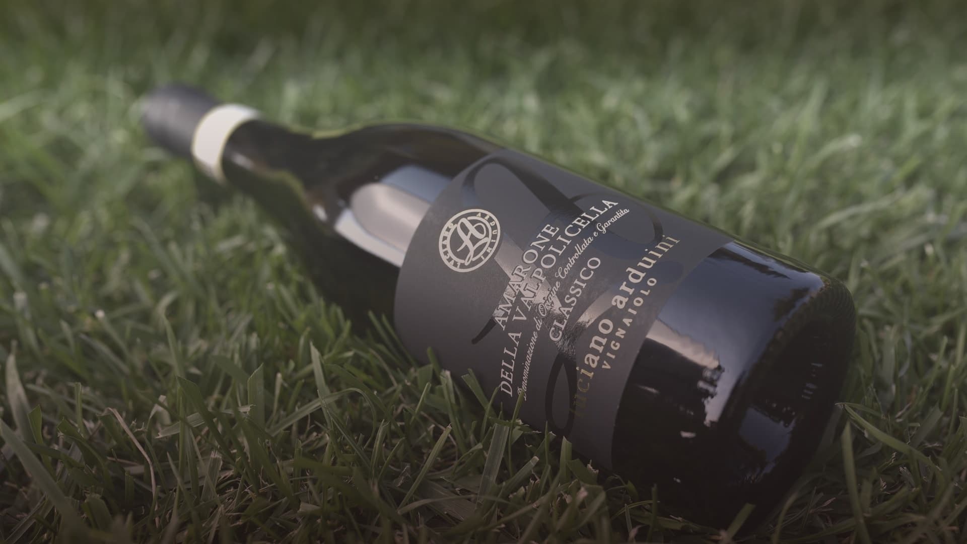 Luciano Arduini gallery image 1