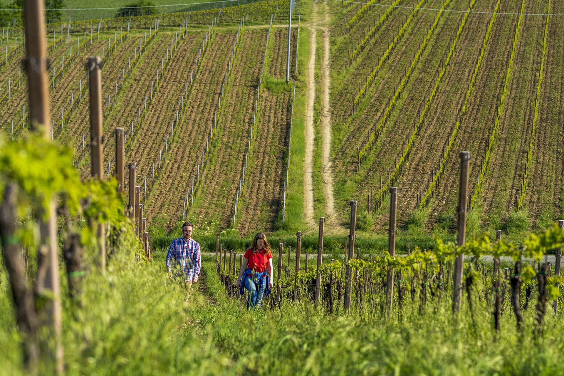 Tiberio gallery image 7