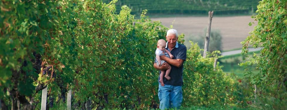 Sorelle de Nicola header