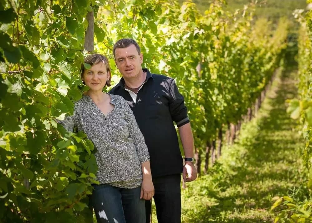 Domaine Dirler-Cadé header