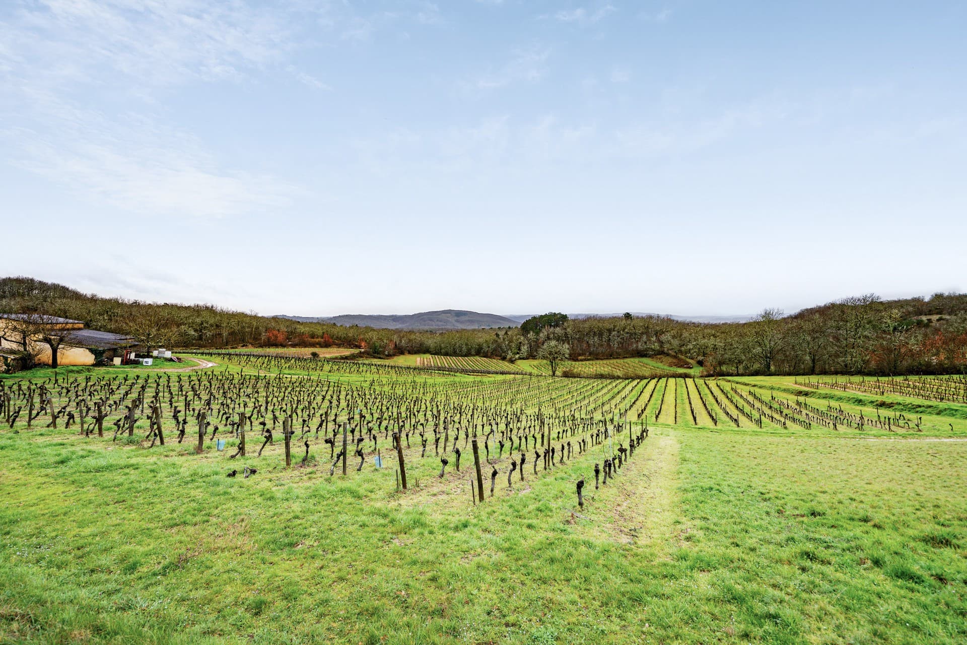 Domaine Capelanel header