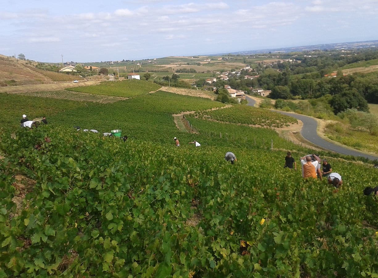 Château de Vaux gallery image 3