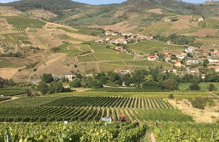 Château de Vaux gallery image 4