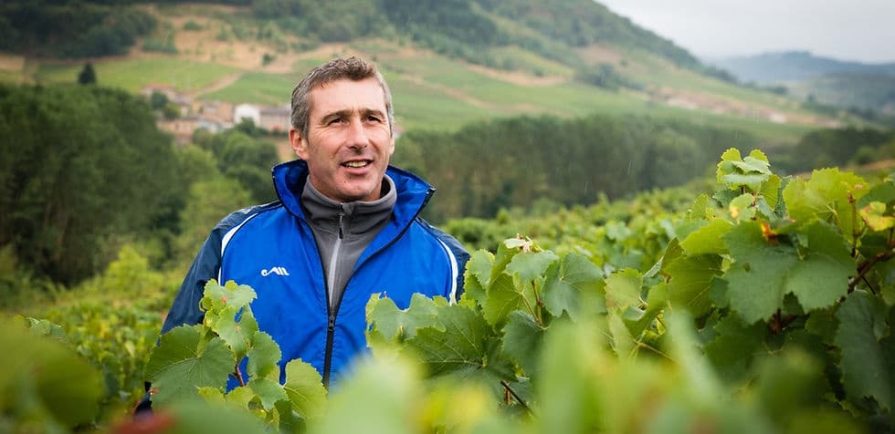 Château de Vaux header