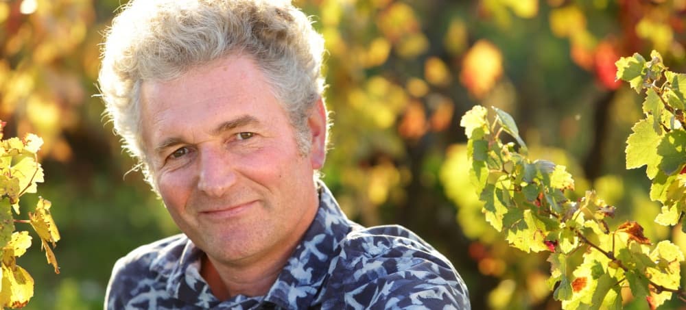 Michel Guignier gallery image 4