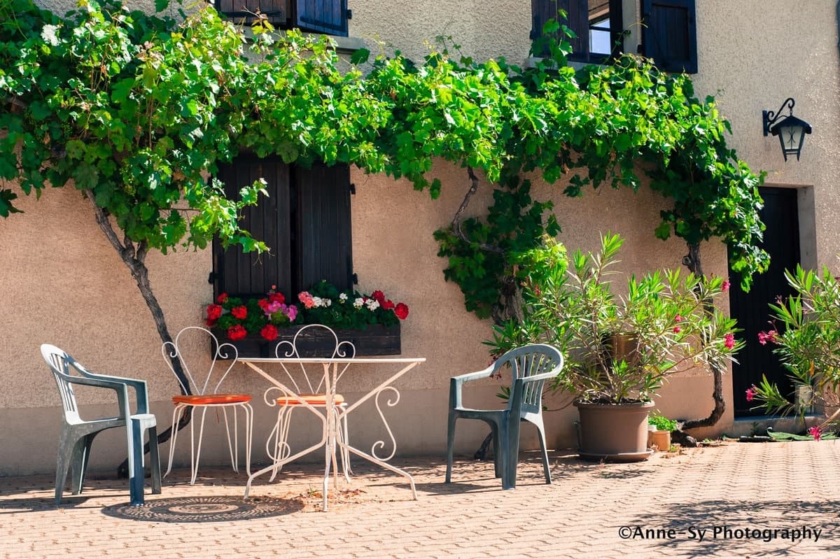 Domaine des Marrans gallery image 1