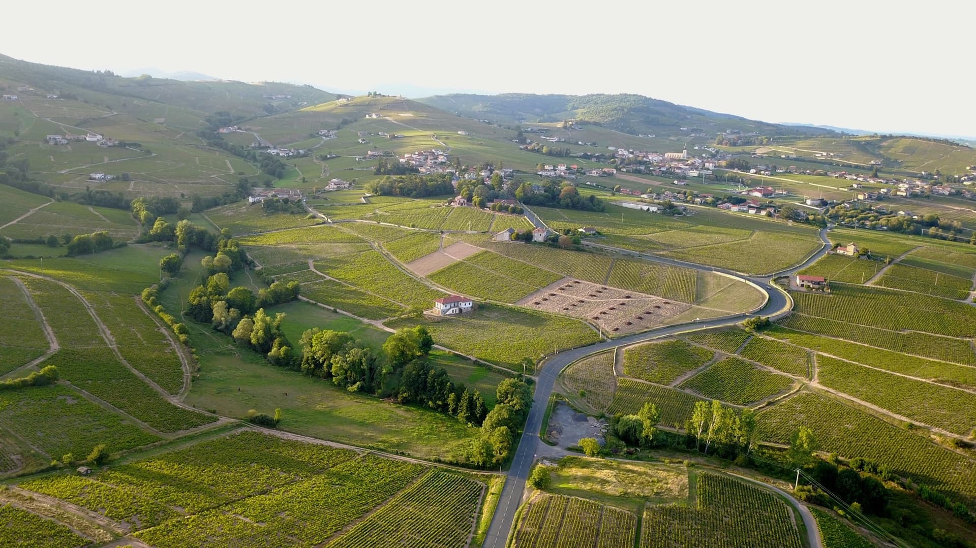 Domaine des Marrans header