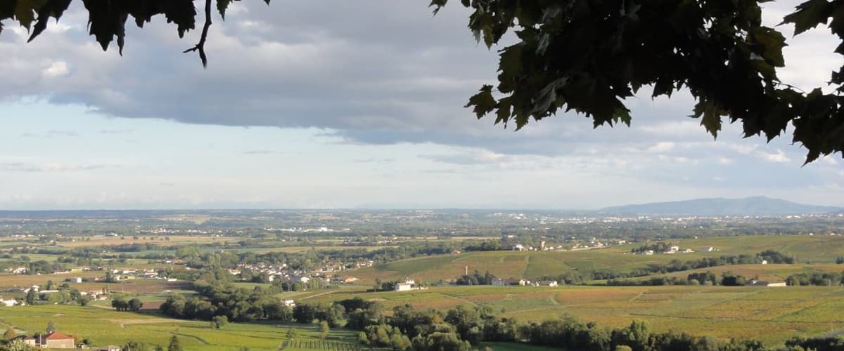 Domaine Baron de L'Ecluse gallery image 1