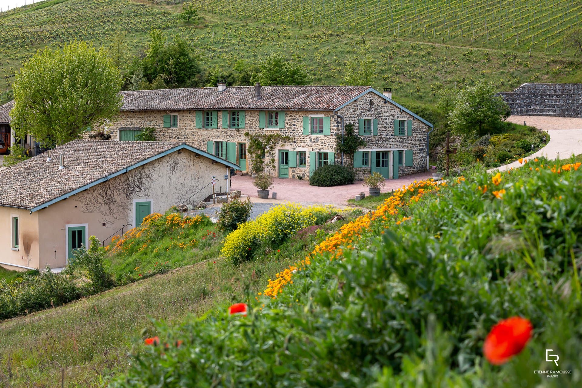 Domaine Baron de L'Ecluse header