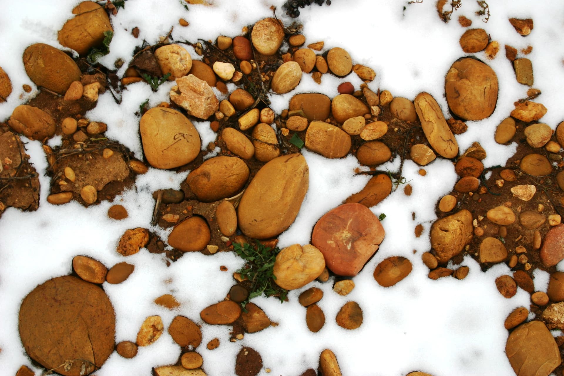 Domaine Duseigneur gallery image 10