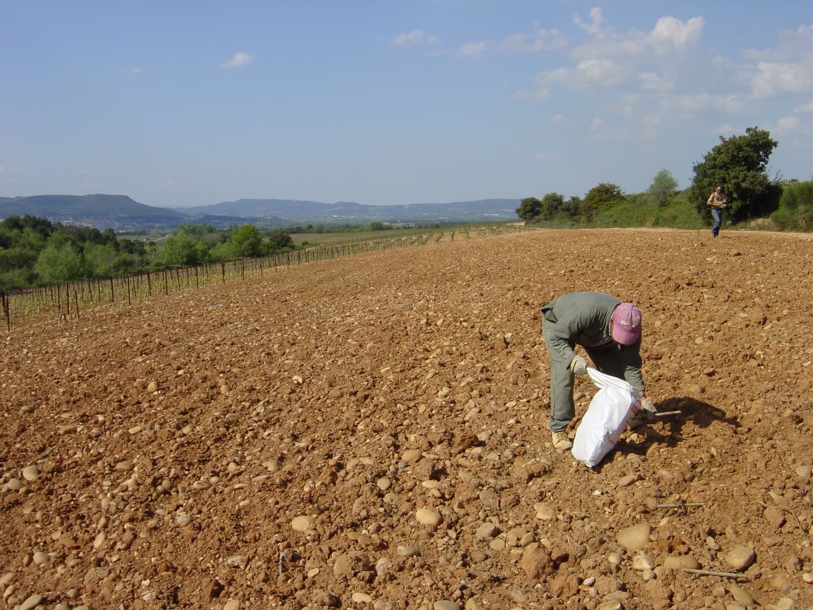 Domaine Duseigneur gallery image 21