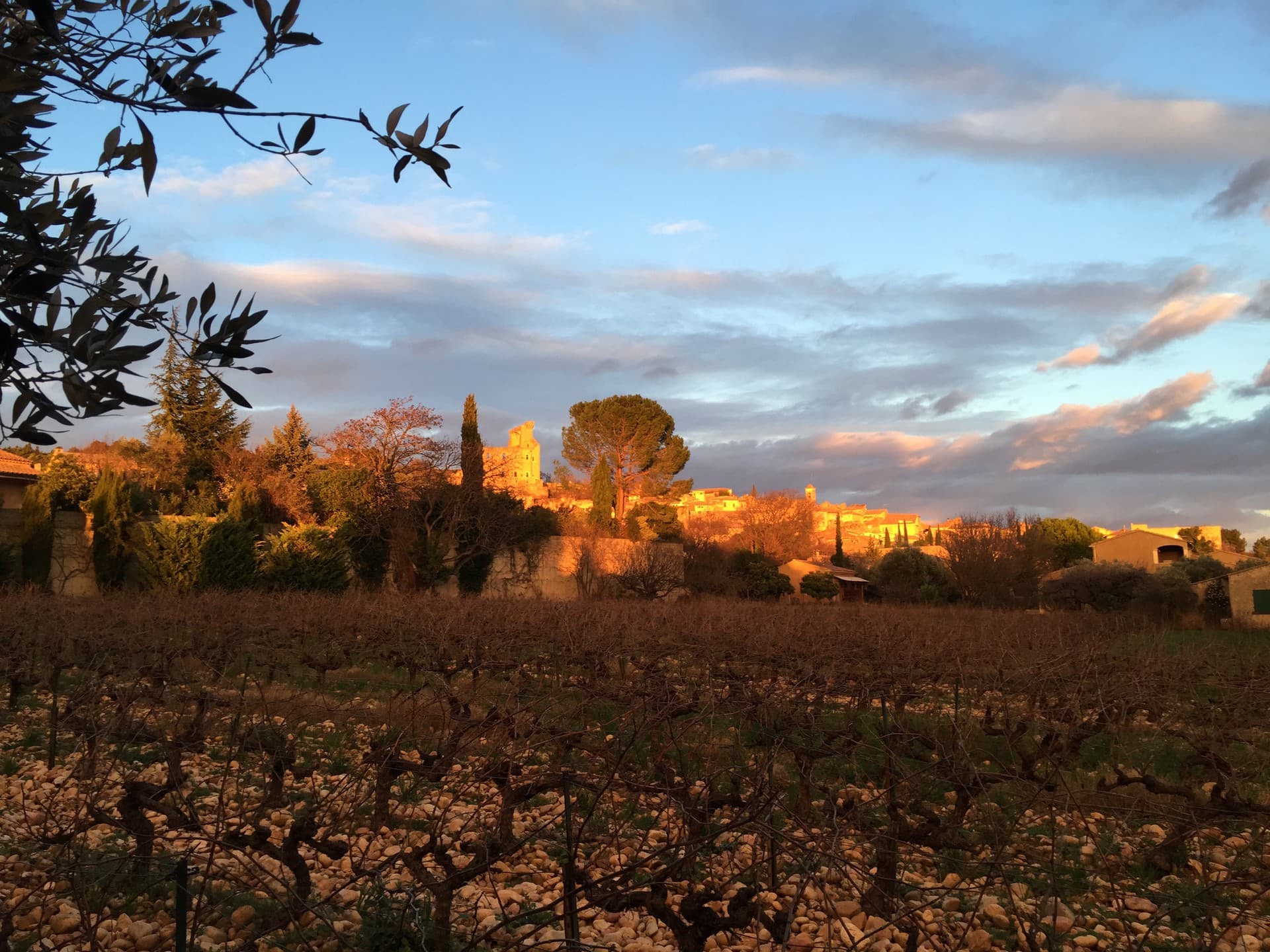 Domaine Duseigneur gallery image 26