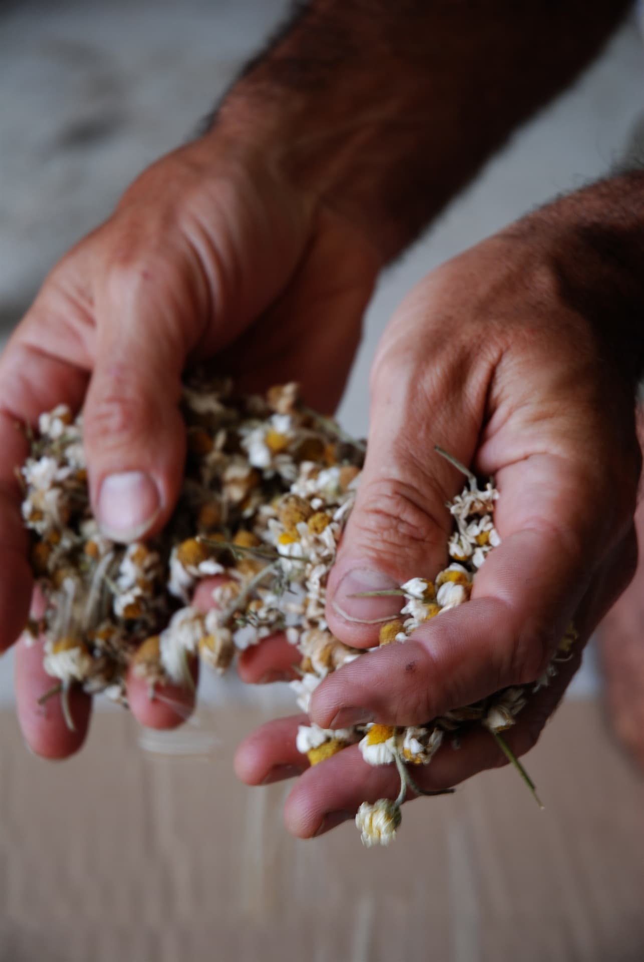 Domaine Duseigneur gallery image 7