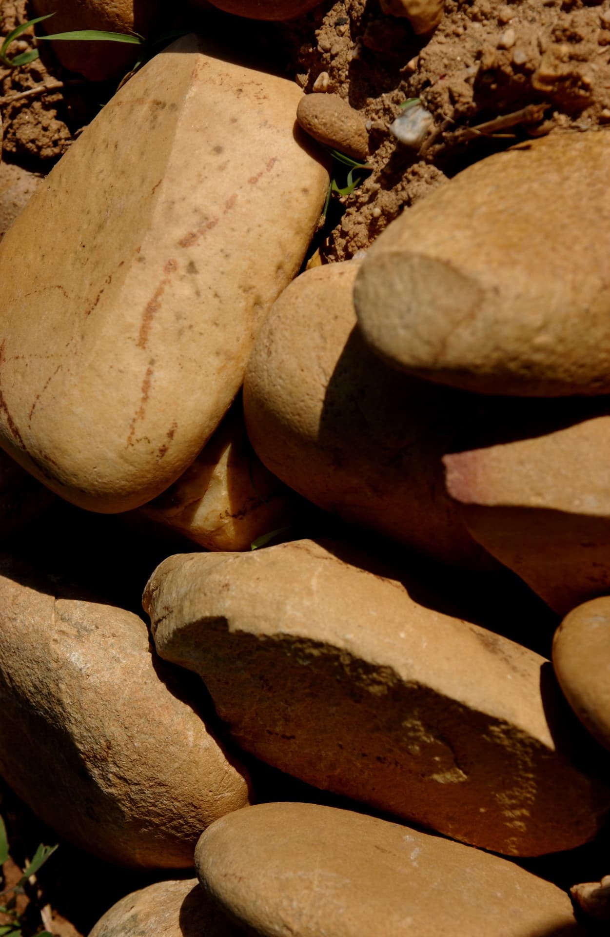 Domaine Duseigneur gallery image 23