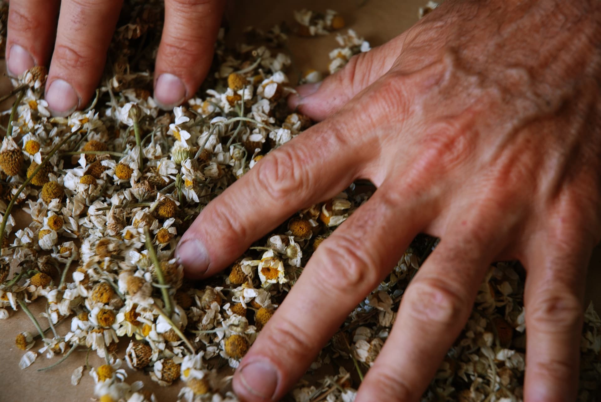 Domaine Duseigneur gallery image 25