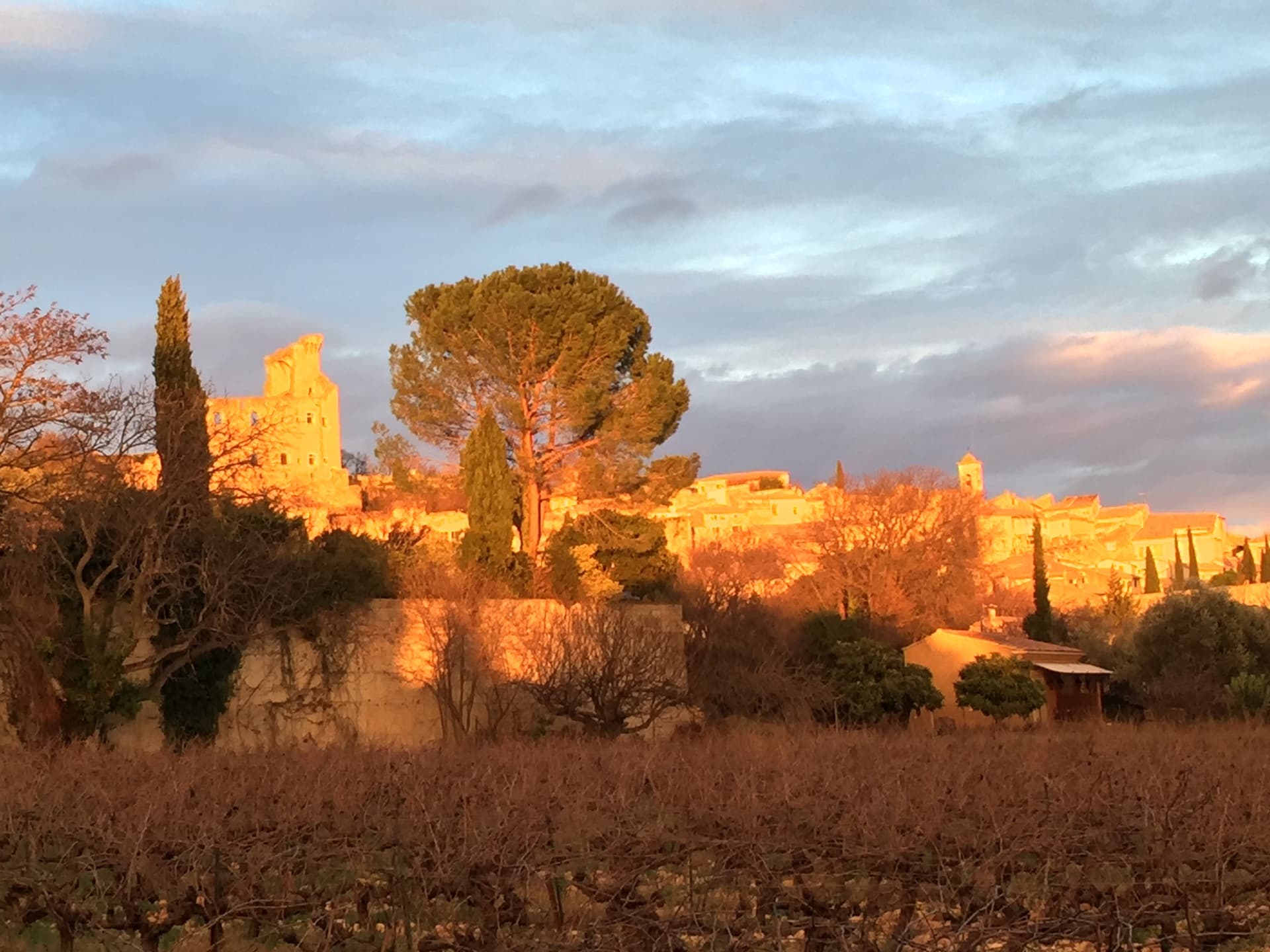 Domaine Duseigneur gallery image 27