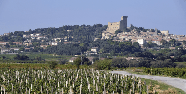 Domaine Duseigneur gallery image 35