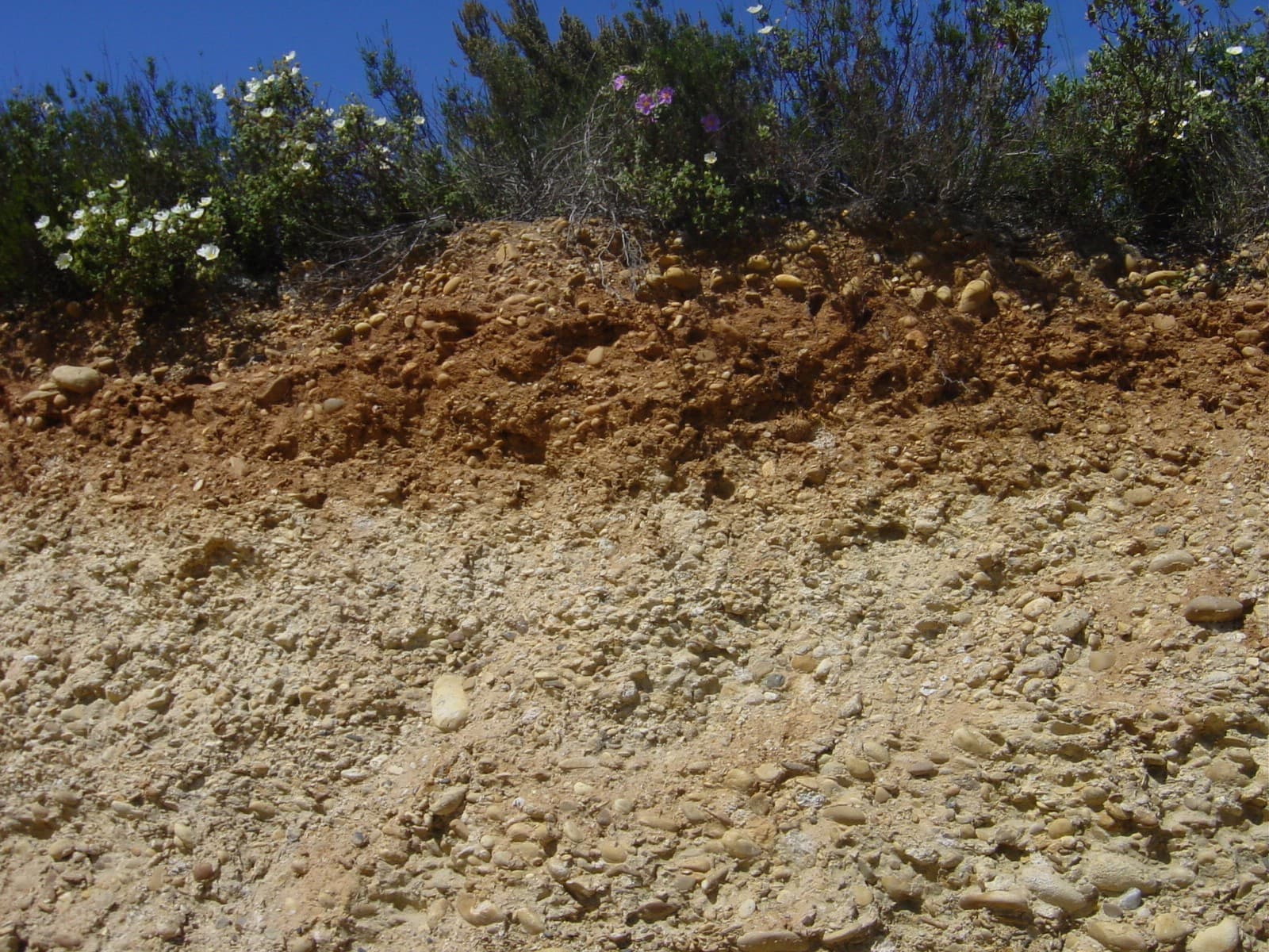 Domaine Duseigneur gallery image 29