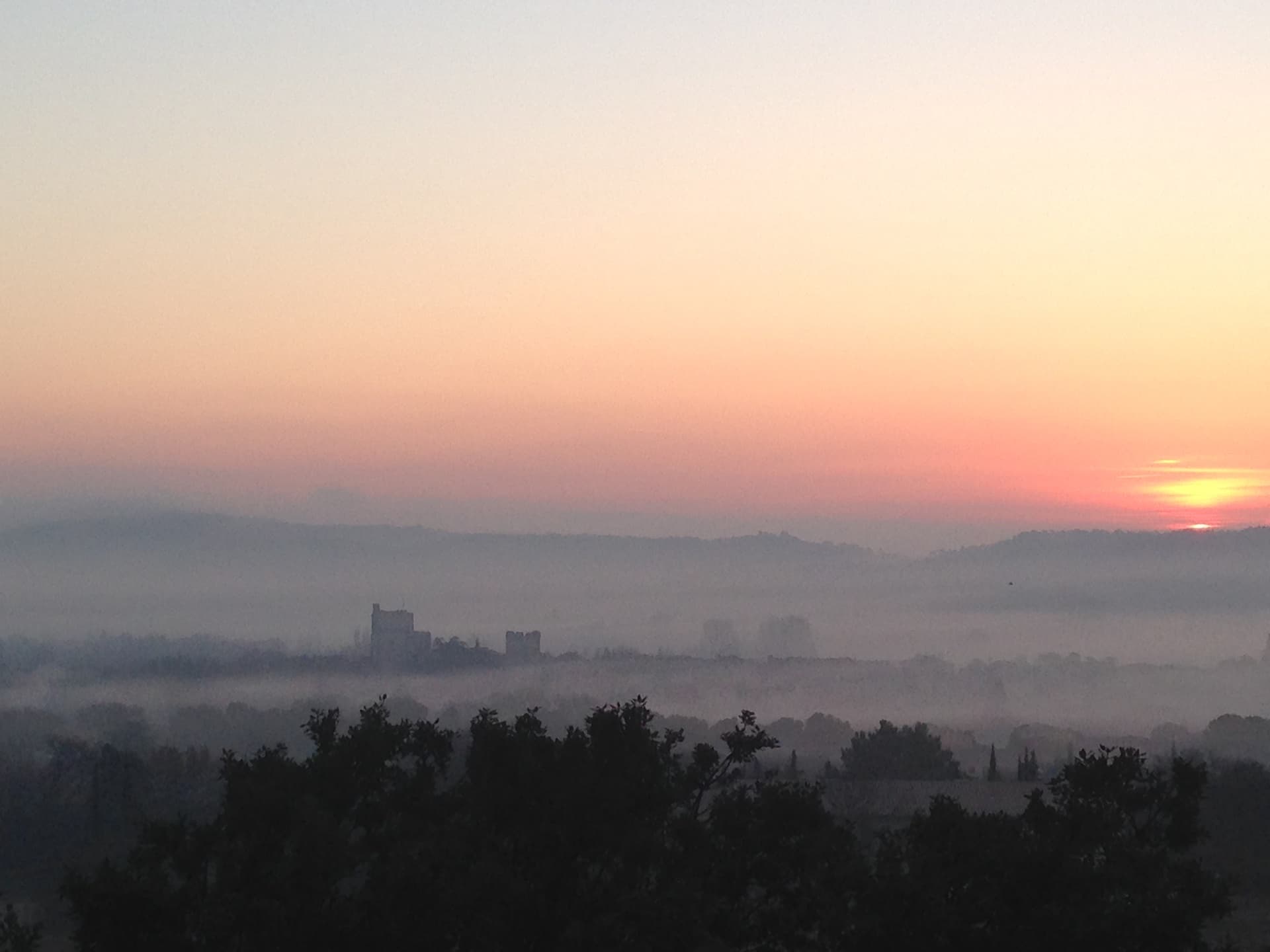 Domaine Duseigneur gallery image 12