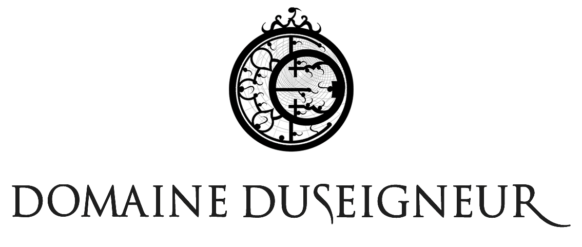 Domaine Duseigneur logo