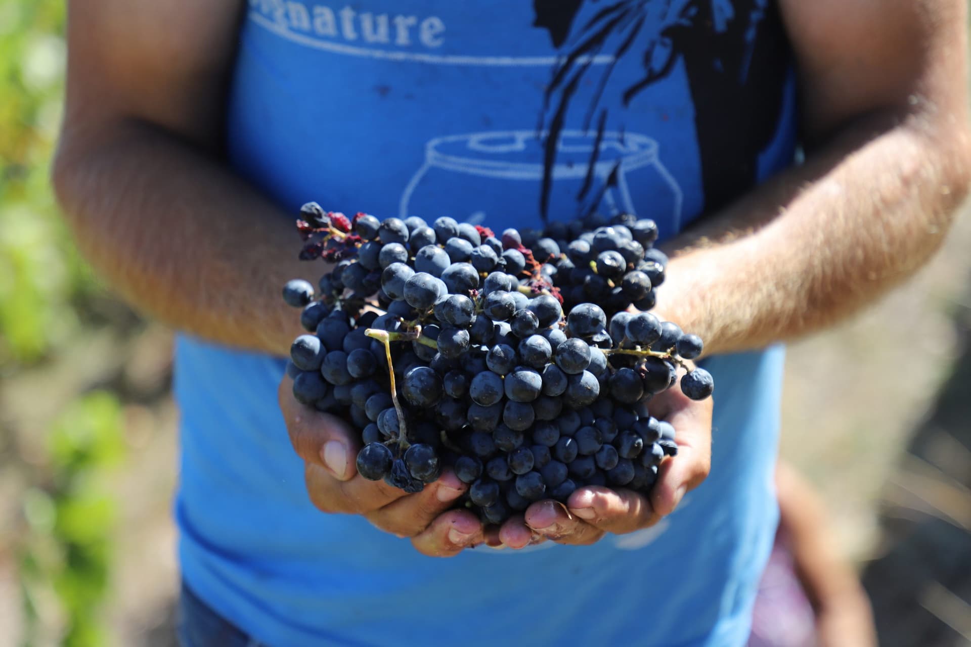 Quinta da Foz gallery image 1