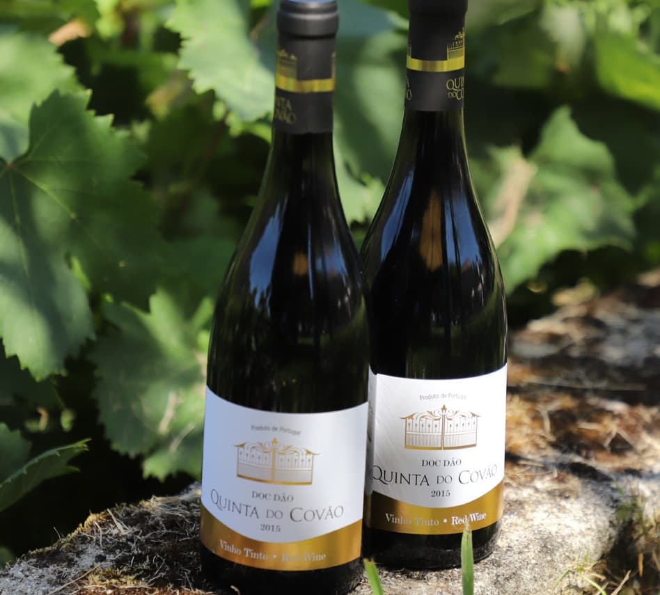 Quinta da Foz gallery image 3