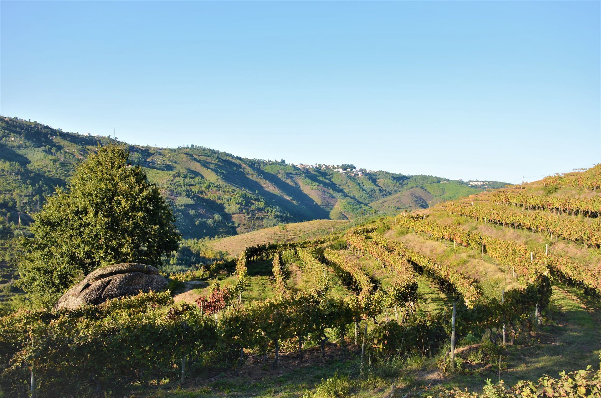 Quinta da Foz gallery image 7