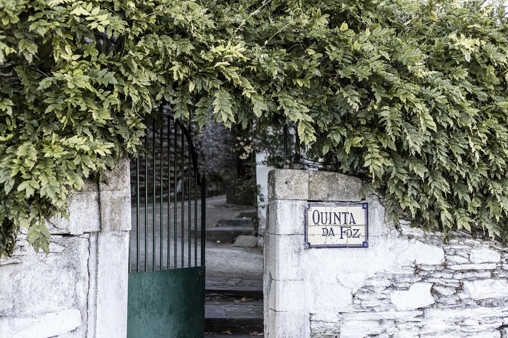 Quinta da Foz header