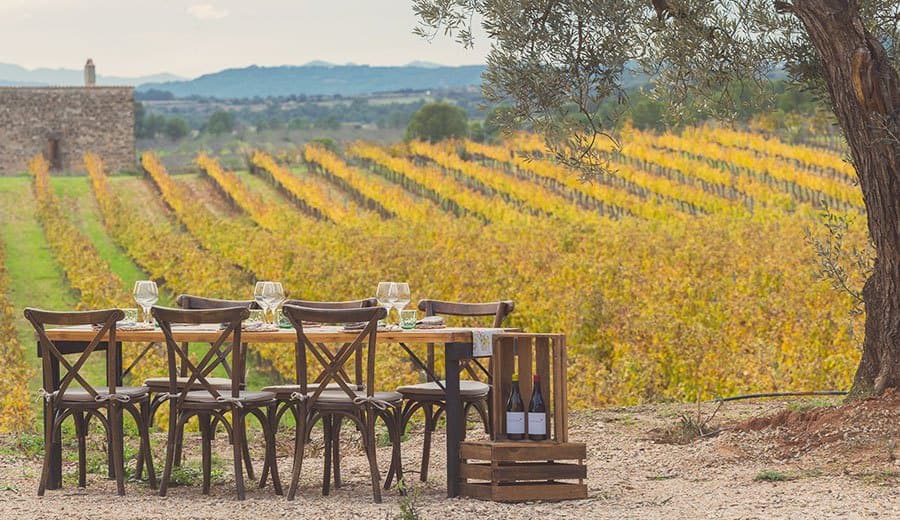 Edetària gallery image 7