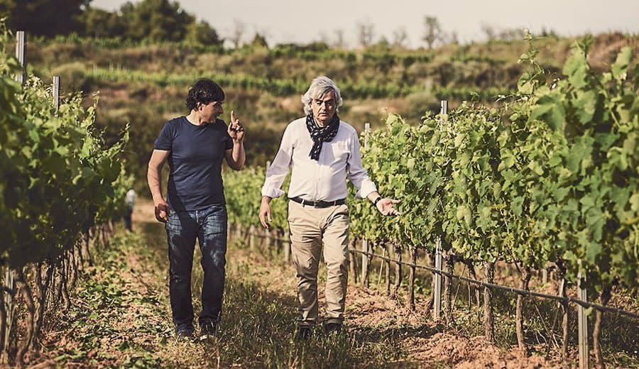 Edetària gallery image 4