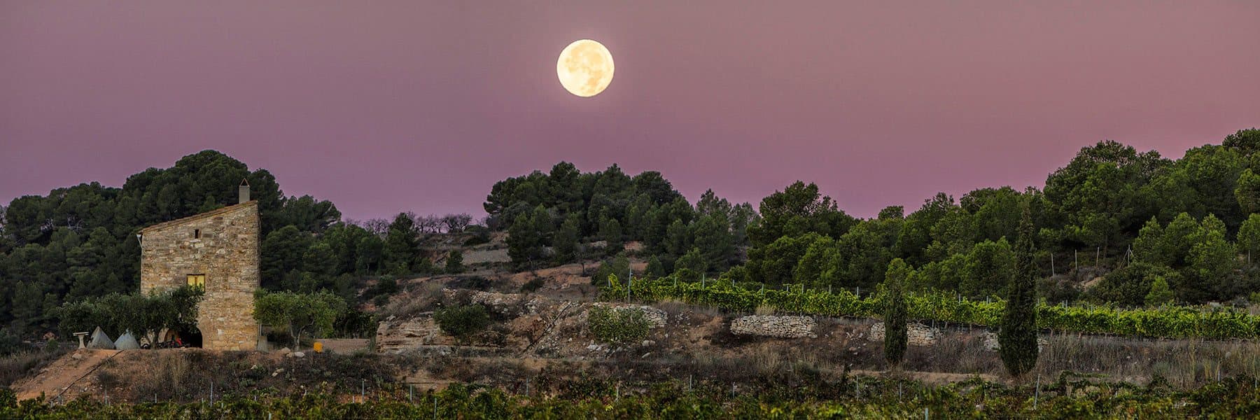 Edetària gallery image 3