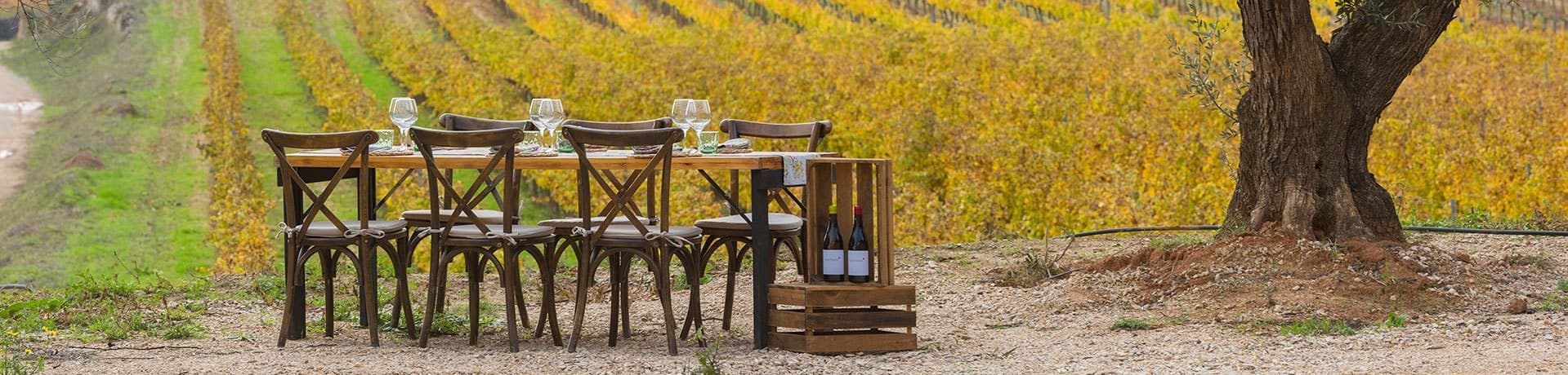 Edetària gallery image 8