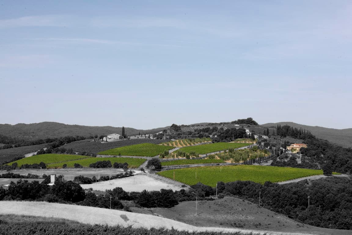 Baricci gallery image 1