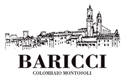 Baricci logo