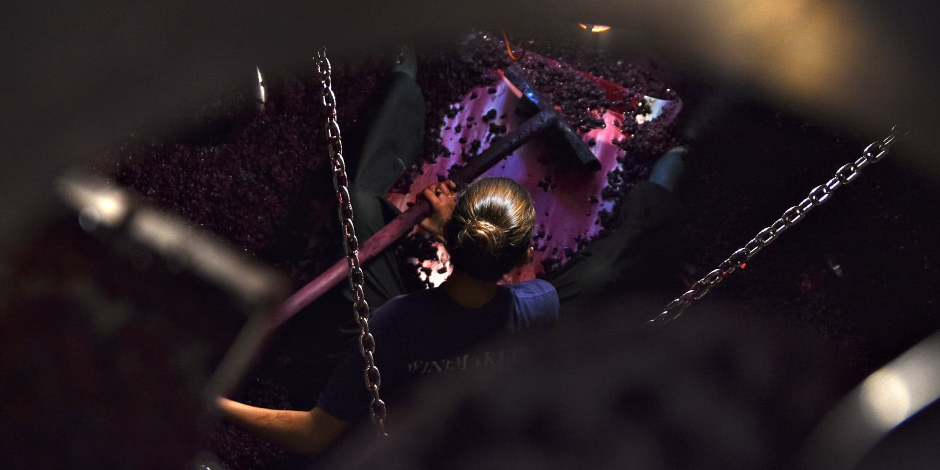 Chiara Condello gallery image 3