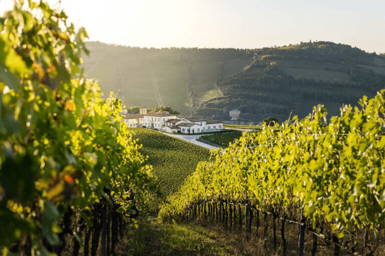 Condé di Condello gallery image 1