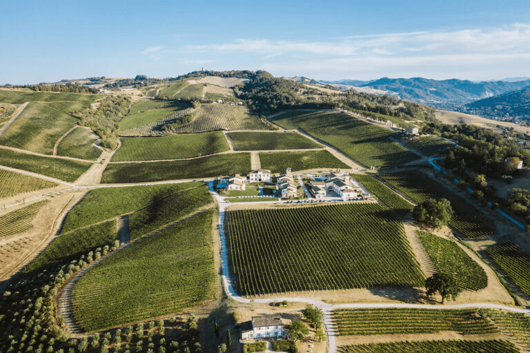 Condé di Condello gallery image 4