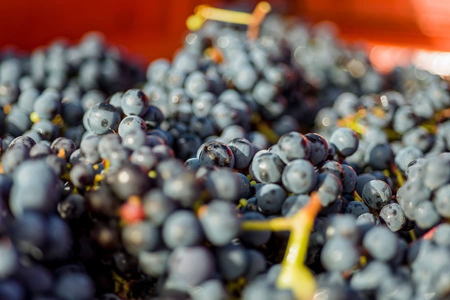 Domaine de L'R gallery image 1